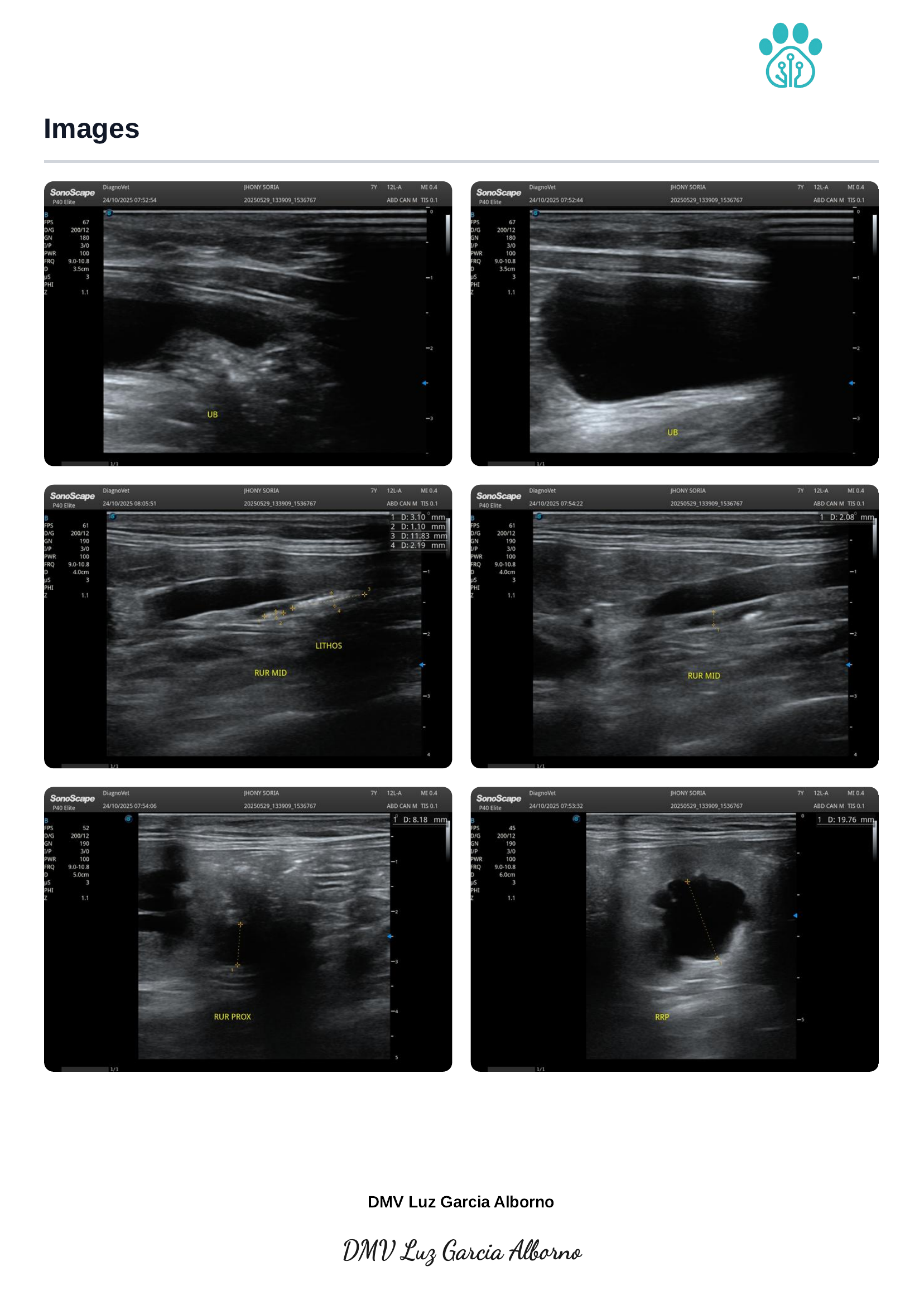 Ultrasound report page 3 of 6