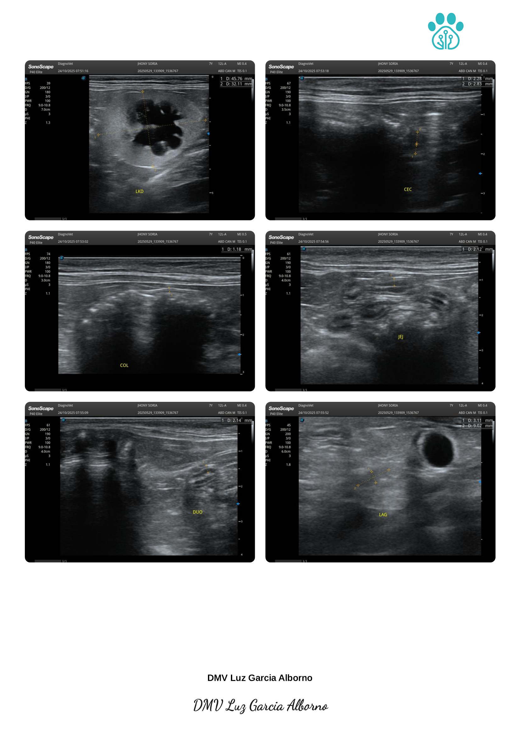 Ultrasound report page 5 of 6